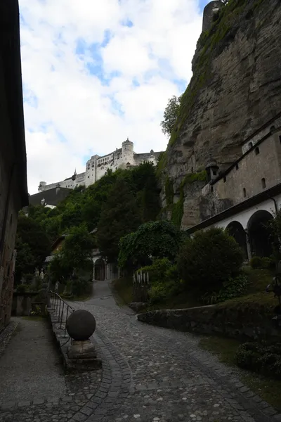 DSC_6349 (Large).JPG